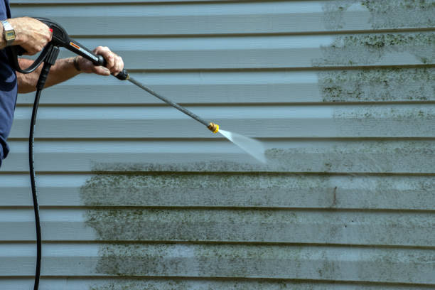 Best Roof Cleaning and Mildew Removal in Hawkinsville, GA